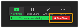 Zoom Screen Sharing and Annotation