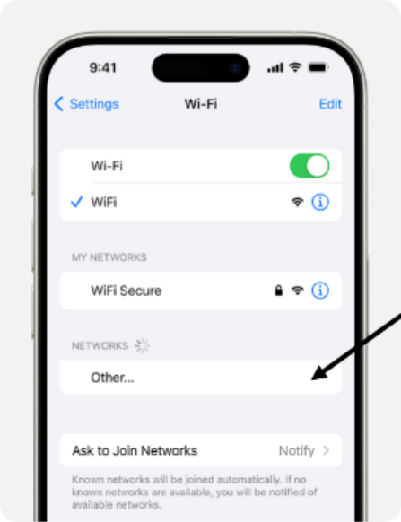 An iPhone showing the Wi-Fi screen. There's a blue a checkmark next to the Wi-Fi network's name.